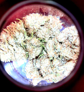 CBG Joint